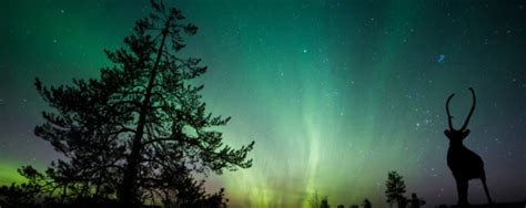 Wo und wann sind polarlichter zu sehen? 15 HQ Photos Wo Und Wann Kann Man Polarlichter Sehen / 8 ...