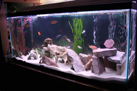 Fish Tank Home Made Decorations Interior Design And Decorating Ideas