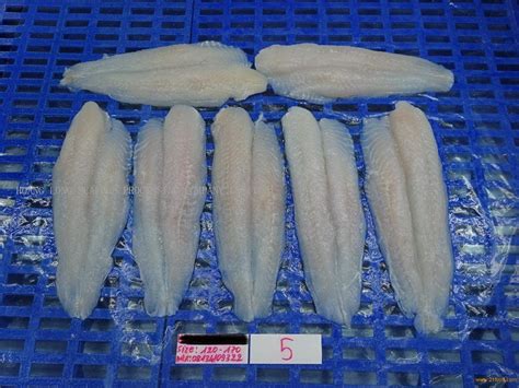 Pangasiusbasadory Fillets Non Phosphate No E500501vietnam Price