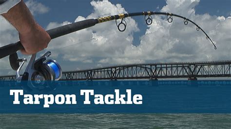 Best Spinning Outfit For Bridge Tarpon Florida Sport Fishing Tv