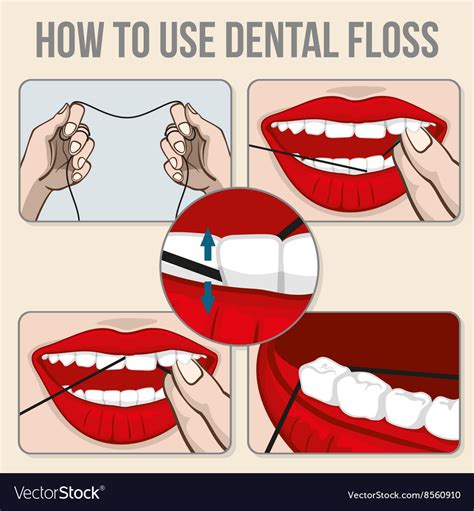 Flossing Teeth Infographics Royalty Free Vector Image