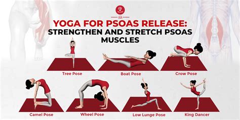 Yoga For Psoas Release Strengthen And Stretch Psoas Muscles