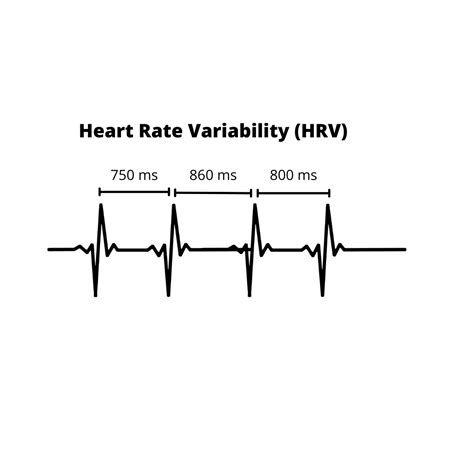 Heart Rate Variability — Physical Therapy For The Athlete In All Of Us