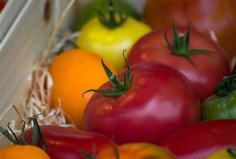 Tomatoes Vegetables Harvest Free Photo On Pixabay Pixabay