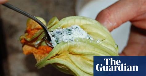 Blanche Vaughans Stuffed Courgette Flowers Allotments The Guardian