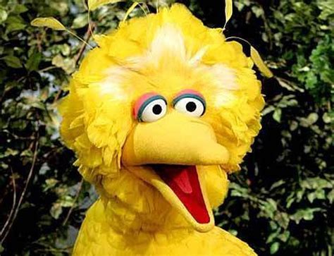 I Love Big Bird Sesame Street Character Was A Hit During