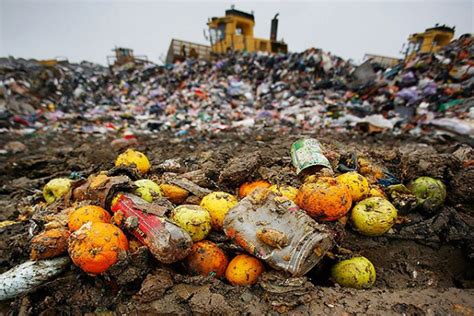 How we can help you. Petition Ban Food Waste Disposal in Landfills