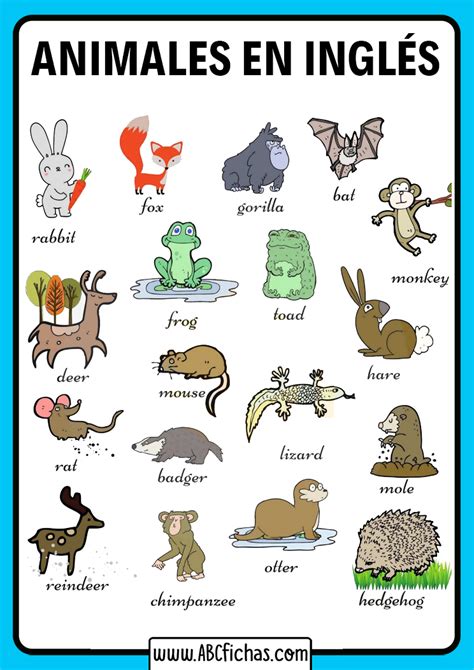 Animales En Ingles Dibujos