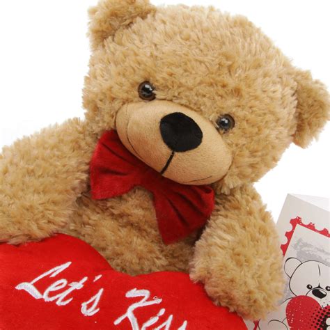 He Loves Me Bear Hug Care Package Featuring Shaggy Cuddles Amber 18in