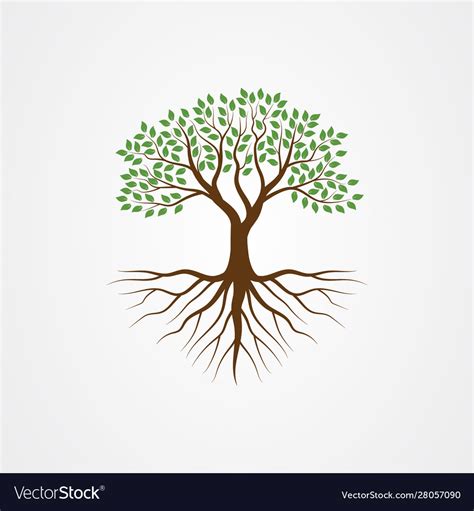 Tree Roots Royalty Free Vector Image Vectorstock