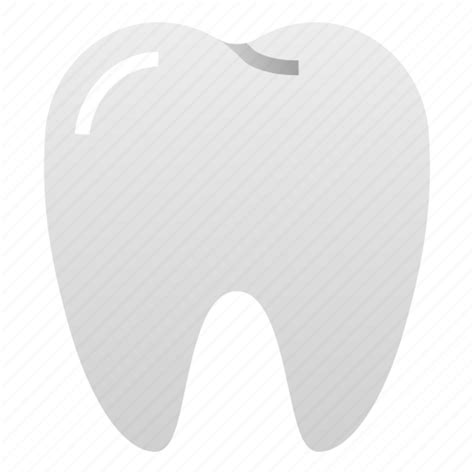Dental Dentist Doctor Health Hospital Molar Tooth Icon Download