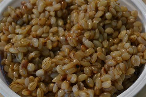 Just Add Cayenne Simple Homemade Whole Grain Barley Cereal