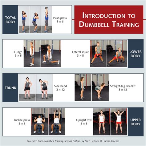 Introduction To Dumbbell Training Human Kinetics