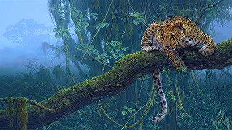 Big Cat Sitting On A Tree Branch Hd Wallpaper Background Image