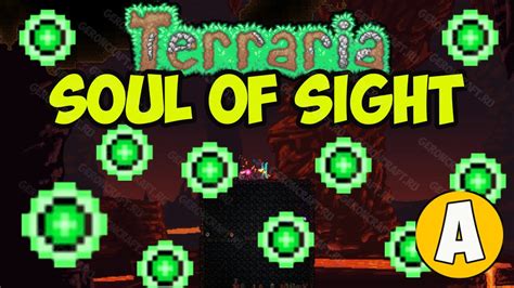 Terraria How To Get Souls Of Sight 2024 Youtube