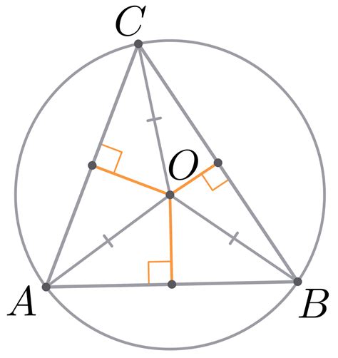 Описанная окружность треугольника Математика Окружность и круг