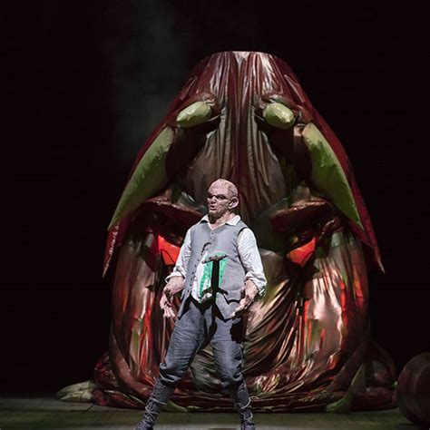 Siegfried The Ring Cycle Lyric Opera Of Chicago
