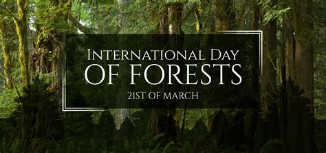 International Day Of Forests 2020 Community Conservation Fund Africa