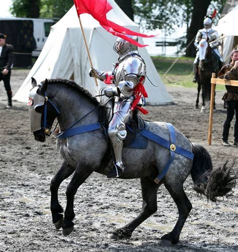 Pin By Honse On Horsesriders Medieval Horse Horse Armor Jousting