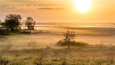 Wallpaper Morning Trees Grass Fog Sunrise 3840x2160 Uhd 4k Picture