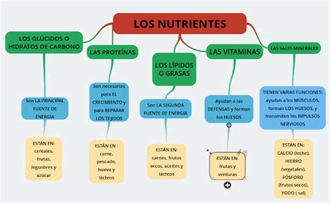 2017sexto Los Nutrientes