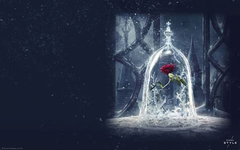 Beauty And The Beast Rose Wallpapers On Wallpaperdog