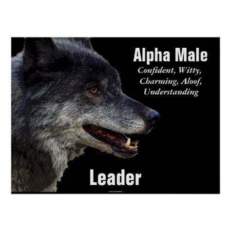 A good quote can really resonate with something deep inside of you. Alpha Male Quotes. QuotesGram