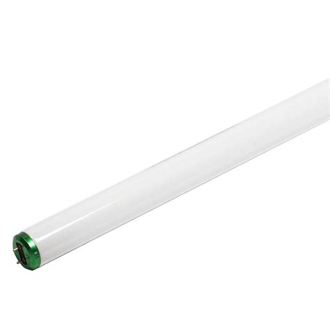 Philips Fluorescent 32w T8 48 Inch Daylight 6500k 10 Pack The