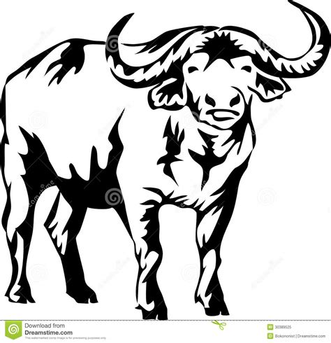 Buffalo Drawing Step By Step Free Download On Clipartmag