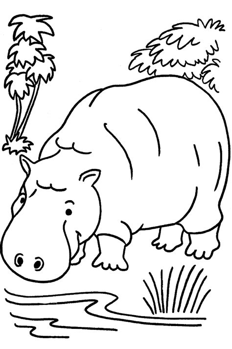 Wonderful sloth rainforest animals coloring pages with jungle. colouring book page | Zoo animal coloring pages, Jungle ...