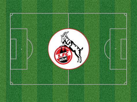 Foto eine junge katze an. Bundesliga Fussballfeld #111 - Hintergrundbild