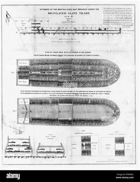 Slavery Slave Ships Nstowage Of The British Slave Ship Brookes