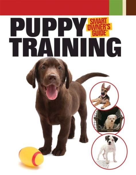 Puppy Training By Dog Fancy Magazine Paperback Barnes And Noble