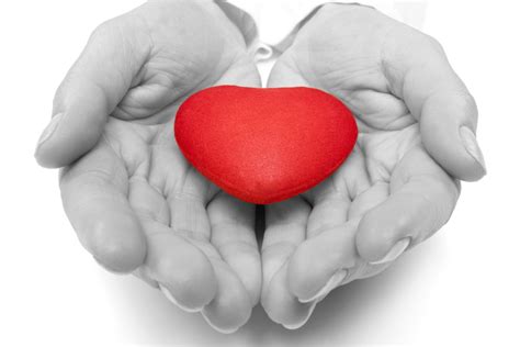 I heard you speak earlier this year and i'm working to put our finances in order. Charitable Giving - U.S. Private Jets