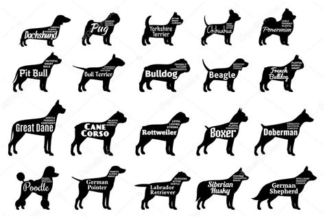 Dog Breed Face Silhouettes Svg