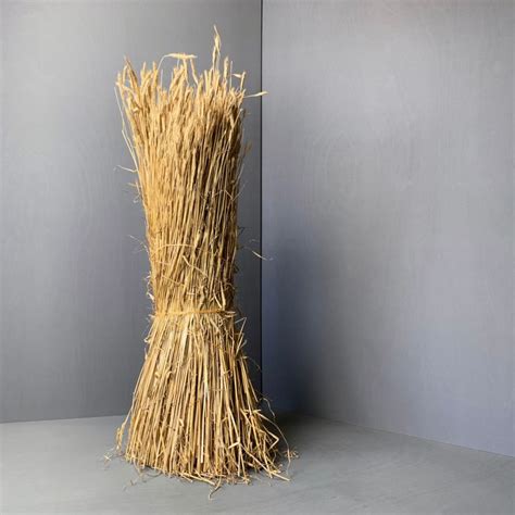 Straw Bundle, approx. 1.2 m tall by 40 cm diameter.
