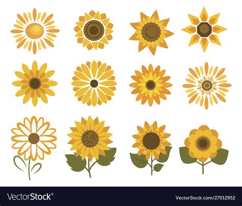Set Sunflower Flowers Collection Cartoon Vector Image