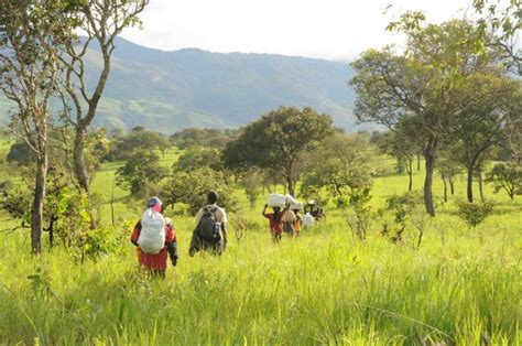 Democratic Republic Of Congo Creates New Nature Reserve Earth And The