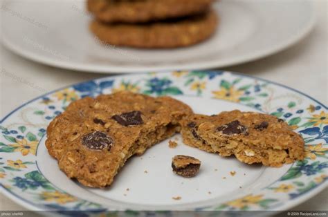 These oatmeal cookies are perfectly sweet with a little bit of honey. Low Fat and Low Calorie Oatmeal Chocolate Chip Cookies Recipe