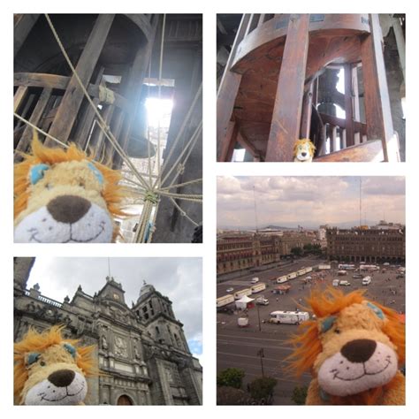Lewis The Lion Climbs The Bell Towers Of The Mexican City Metropolitan