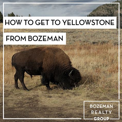 How To Get To Yellowstone From Bozeman Delger Real Estate Bozeman