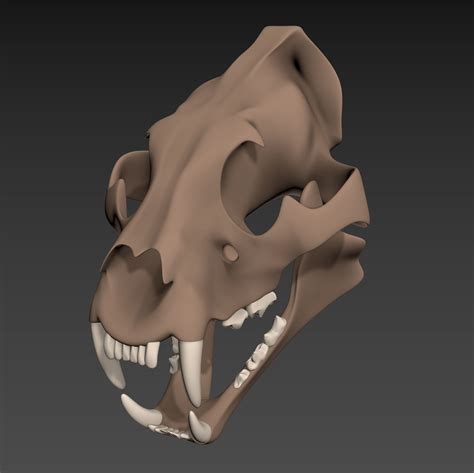 3D model Tiger Skull | CGTrader
