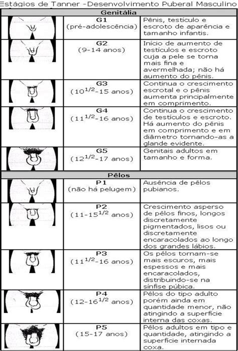 Est Gios De Tanner Feminino Ensino