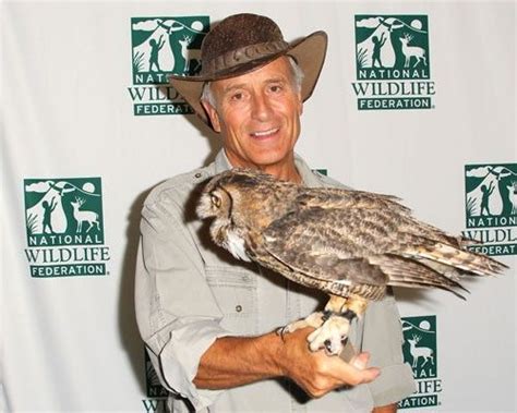 Forest wild animal best blog: Wild animal shows on tv