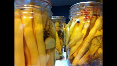 To make refrigerator dilly beans, first clean and cut your beans in the length you prefer. Pickling and canning yellow or green beans: how to make ...