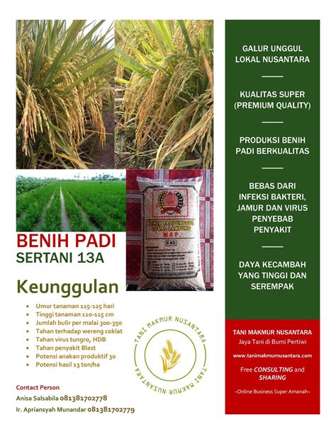 Benih Padi Unggul Sertani Msp 13a Premium Tani Makmur Nusantara