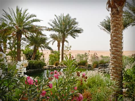 Oasis In The Desert United Arab Emirates
