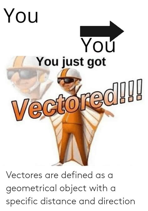 You You You Just Got Vectored Vectores Are Defined As A Geometrical