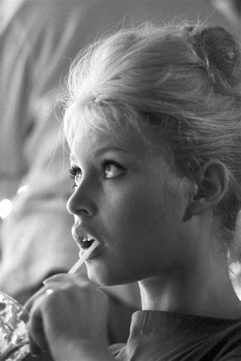 Brigitte Bardot Brigitte Bardot Young Brigitte Bardot Bardot