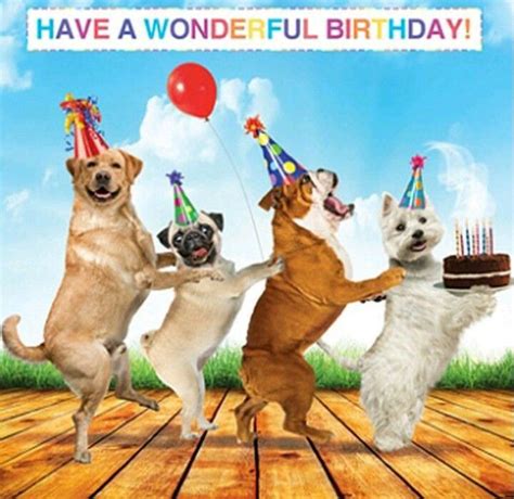 Pin By Brenda Rowe On Birthday Wishes Happy Birthday Dog Meme Happy